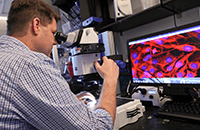 An image of a researcher in his lab.